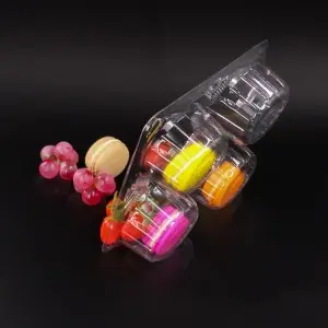 Disposable Blister plastic food container cake box food tray packaging custom packing manufacturing