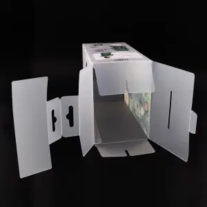 Custom Logo Clear PP PET Mens Lady Panty Plastic Packaging Box For Underwear