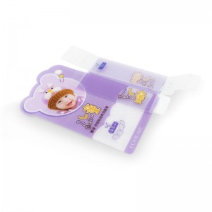 PVC /Pet Cosmetics Printing Lipstick Packaging Box