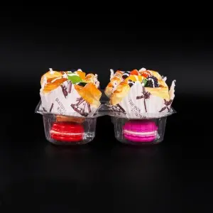 Disposable Blister plastic food container cake box food tray packaging custom packing manufacturing